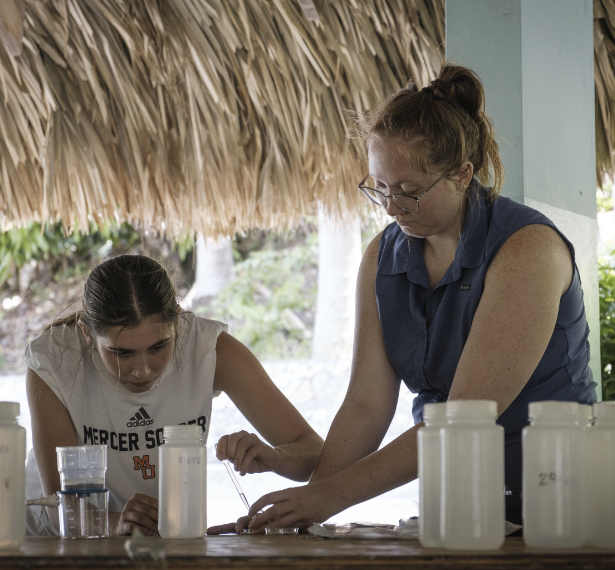 bingo plus net rewards login